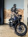 SCRAMBLER 900 2023