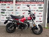 DAX ST 2023