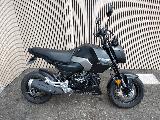 MSX 125 Grom 2025