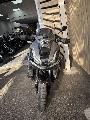 ADV 350 2025