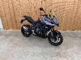 TIGER SPORT 800 2025