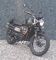 SCRAMBLER 900 2023