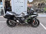 H2 SX SE 2019