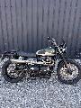 STREET SCRAMBLER 900 2019