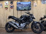 GLADIUS 650 2014