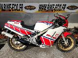 RZV 500 R 1984