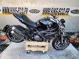 1100 MONSTER 2013