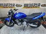 Honda CB 600 HORNET