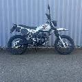 50 XRide 2022