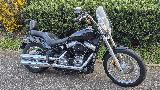 SOFTAIL STANDARD 1745 2020