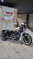 SPORTSTER 1200 XL 2018
