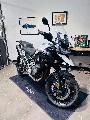 TIGER 1200 GT PRO 2023