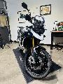 TIGER 900 RALLY PRO 2026