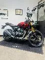 Triumph Scrambler 400 X
