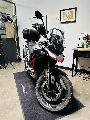 Tiger 900 GT PRO 2025