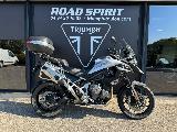 TIGER 1200 GT PRO 2025