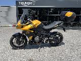 TIGER SPORT 800 2025