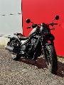 REBEL 500 CMX 500 2022