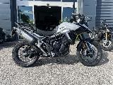 Tiger 900 GT PRO 2025