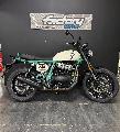 INTERCEPTOR BEAR 650 2025