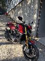 Monster SP 2023