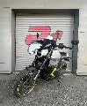 Can-Am PULSE '73 EV4627