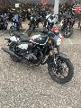 SHOTGUN 650 2024
