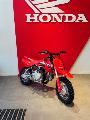 CRF 2024