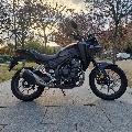 NX 500 2025