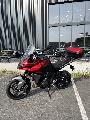 TIGER SPORT 660 2024