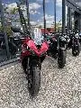 Triumph 	DAYTONA 660