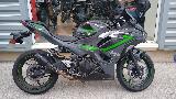 Ninja 500 2024