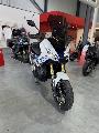 XADV 2026