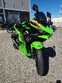 Ninja 500 2024