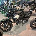 Z 900 2025