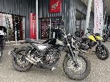 CENTURY 125 2023