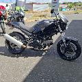 695 MONSTER 2006
