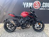 BRUTALE 800 2024