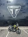 TIGER 900 RALLY PRO 2025