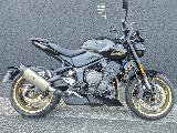 TRIDENT 800 2026