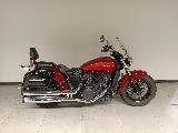 SCOUT SIXTY CLASSIC  2019