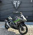 Ninja 500 2024