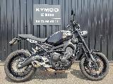 XSR 900 2019