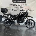 V85 TT 850 2023