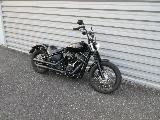 SOFTAIL STREET BOB 1745 2019