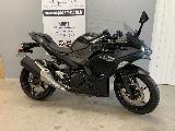 Ninja 500 2026
