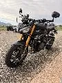 Triumph SPEED TRIPLE 1200 RS