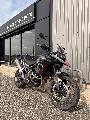 Tiger 900 GT PRO 2025