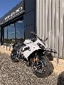 	DAYTONA 660 2026