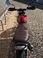 Triumph Scrambler 400 X